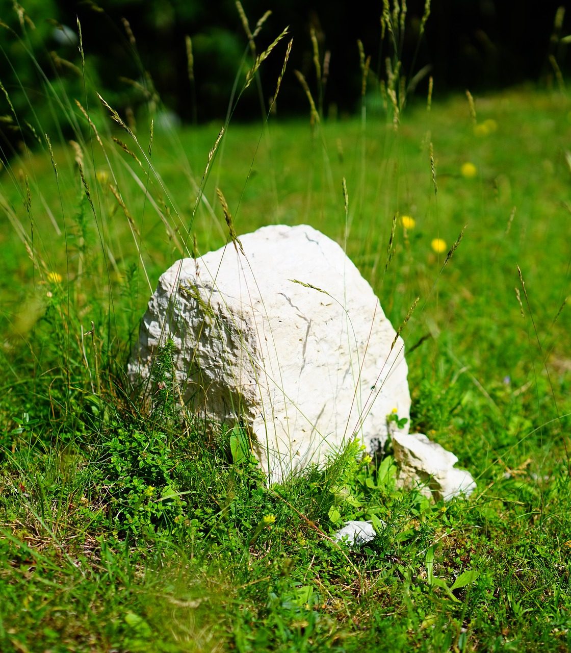 photograph of a mile stone marker