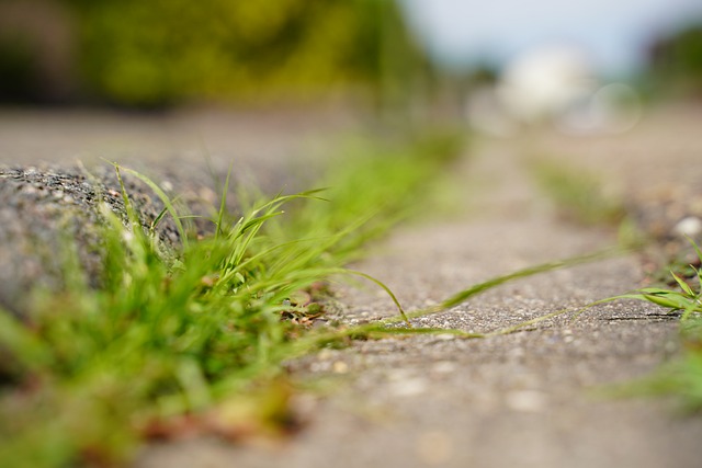 picture of a roadside curb